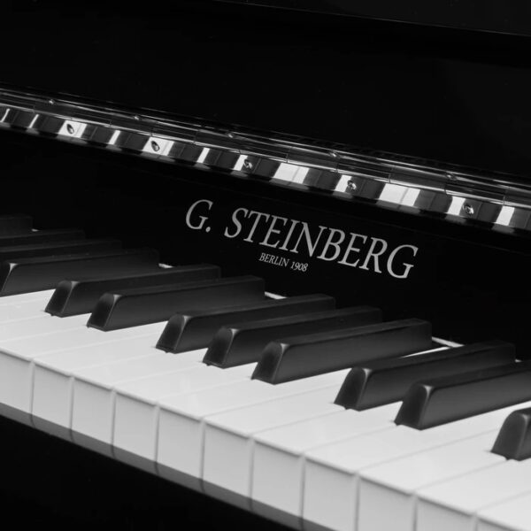 G. Steinberg 123 Economy