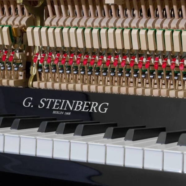 G. Steinberg 123 Economy