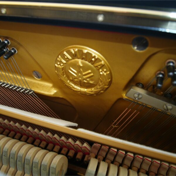 Yamaha U1